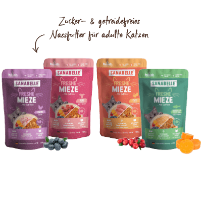 Sanabelle Freshe Mieze