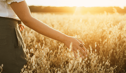 boschhpcmenue-heimische-getreidesorten