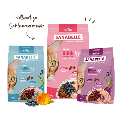 Sanabelle Life