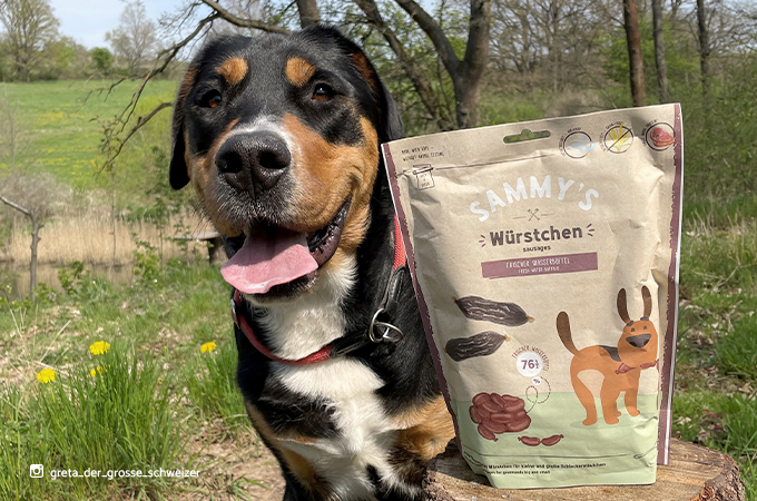 bosch-sammys-hundesnacks-greta-der-grosse-schweizer