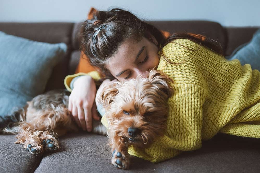 Silvester mit Hund – Entspannte Tipps und Wellnes | bosch Tiernahrung