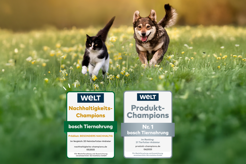 Auszeichnungen für bosch Tiernahrung: Nachhaltigkeits-Champion 2024 und Produkt-Champions für Hundefutter – prämiert von der Süddeutschen Zeitung und der WELT.