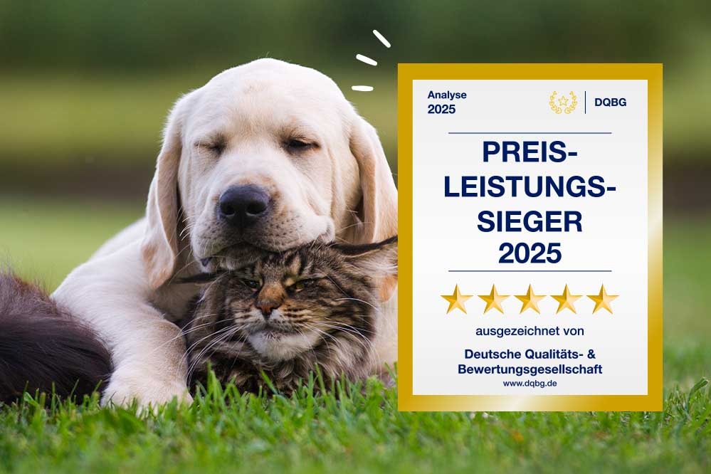 Top quality at fair prices: That's why we're your 2025 price-performance winner!