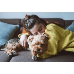 Silvester mit Hund – Entspannte Tipps und Wellnes | bosch Tiernahrung