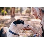 The right food for senior dogs