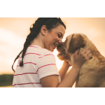 Dog & heat - Tips for hot summer days