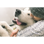 Hund & Schnee – Tipps für kalte Wintertage