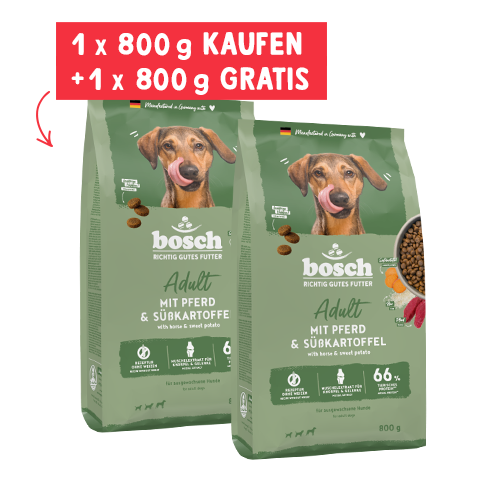 Richtig gutes Hundefutter online bestellen | bosch Tiernahrung