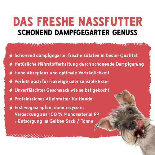 Bosch Freshe Schnauze Nassfutter – Pute Mit Quinoa & Spinat, 8 X 250 G, Schonend Dampfgegart, Ohne Getreide