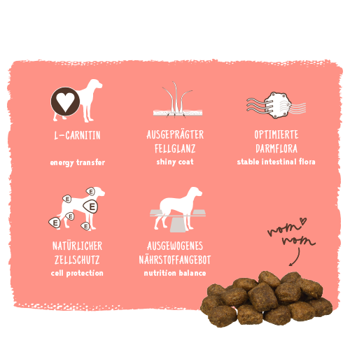 hunde trockenfutter allergiker Hypoallergenes Hundefutter