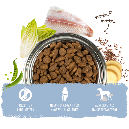 bosch ADULT FISCH & KARTOFFEL | Hundefutter - bosch Tiernahrung