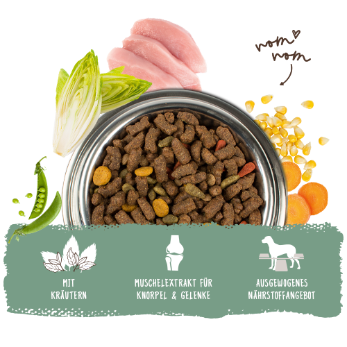 raw hundefutter Vet Expert Raw Paleo mit Schweine- und Lammfleisch Nassfutter fr Welp   ZuZu.land