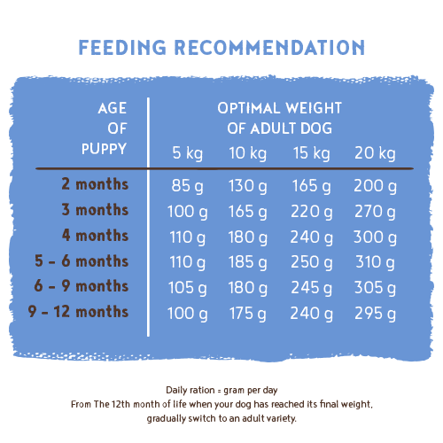 Bosch HPC Junior Con Cordero Y Arroz | Aliento Seco Para La Cría De