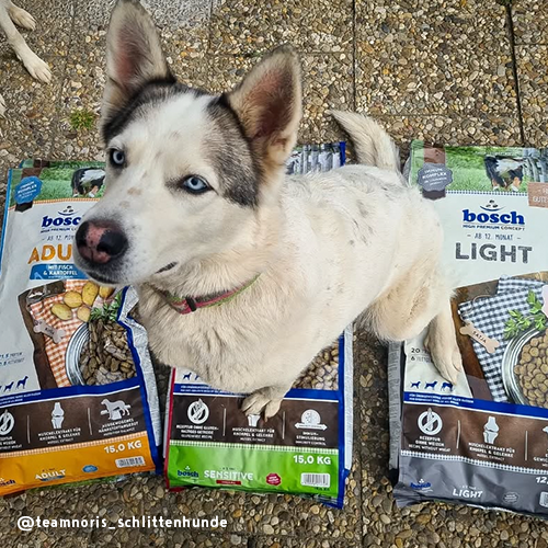 bosch Light | Energiereduziertes Light Hundefutter - bosch Tiernahrung