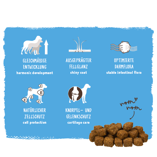 bosch Medium Junior | Hundefutter fr mittelgroe Welpen - bosch Tiernahrung