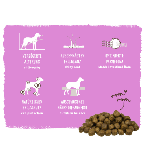 Bosch HPC Mini Senior Hundetrockenfutter – Für ältere Hunde Kleiner Rassen (bis 15 Kg), 5 X 1 Kg Packungen
