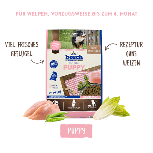 Bosch HPC Puppy Milk – Milchersatzpulver Für Welpen, 2 Kg, Zur Aufzucht Und Zum Übergang Zur Festen Nahrung
