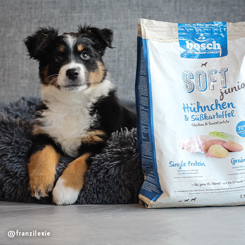 SOFT Junior Hhnchen & Skartoffel | Welpenfutter - bosch Tiernahrung