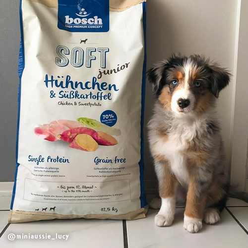 SOFT Junior Hhnchen & Skartoffel | Welpenfutter - bosch Tiernahrung