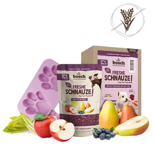 Bosch Freshe Schnauze Nassfutter – Pute Mit Quinoa & Spinat, 8 X 250 G, Schonend Dampfgegart, Ohne Getreide