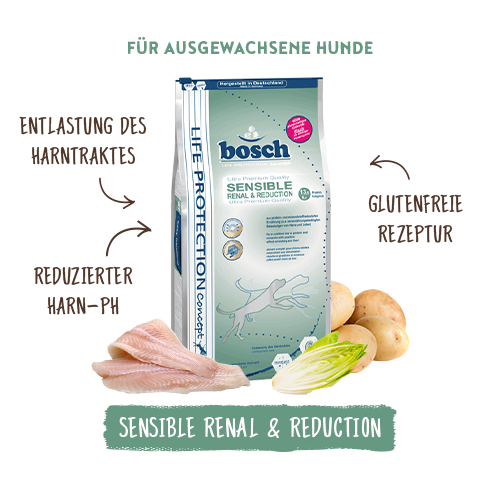 Bosch hondenvoer: 13x de beste van 2026 [Laagste Prijs
