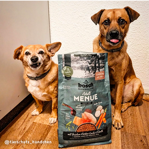 real nature hunde nassfutter AniForte Senior Hundefutter Rind mit Karotte & Fenchel