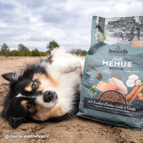 MENUE Adult NORDSEE-LACHS + FORELLE | Hundefutter - bosch Tiernahrung