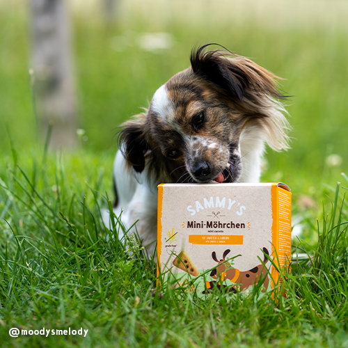 Dog snack Sammy's grain-free mini carrots bosch Tiernahrung