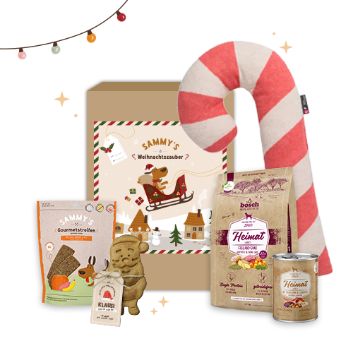 Sammy's Weihnachtszauber