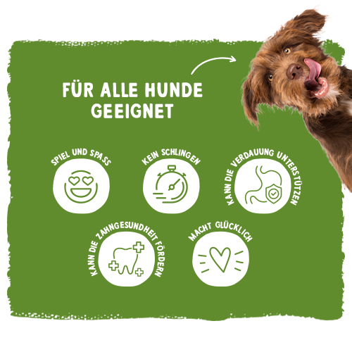 Puzzle Feeder Leckmatte Aus Silikon Für Hunde – Slows Füttern, Geistige Beschäftigung, 20x20 Cm
