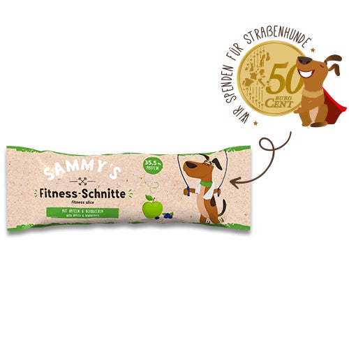 Sammy's Fitness-Schnitte mit &#196;pfeln & Blaubeeren 