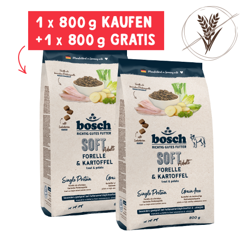 orthopädisches hundebett xxl günstig Hundebett Emma orthopädisch