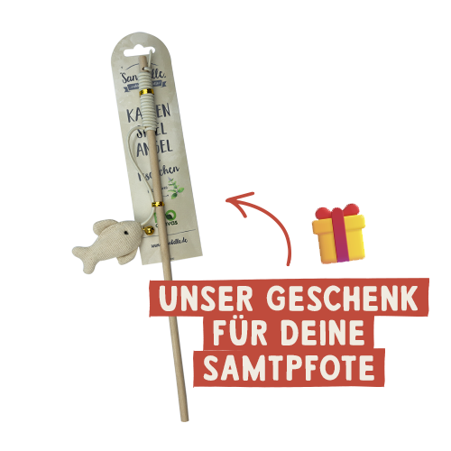 Free birthday present fishing rod for cats