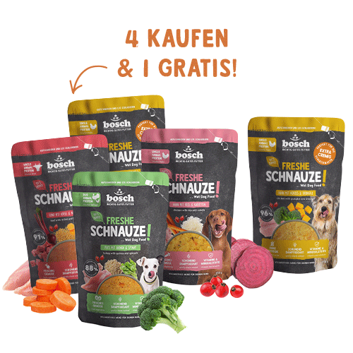 4+1 Aktion Freshe Schnauze Nassfutter "Satt-mach-Box"