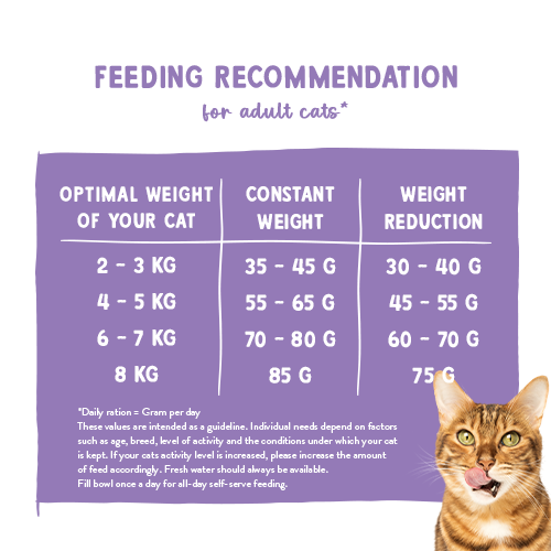 sanabelle sterilised l-carnitine NOW Foods L-Carnitine, Triple Strength Liquid