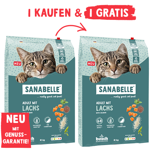 Sanabelle Classic Adult mit Lachs 
