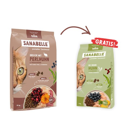 Sanabelle Indoor mit Perlhuhn & Preiselbeeren