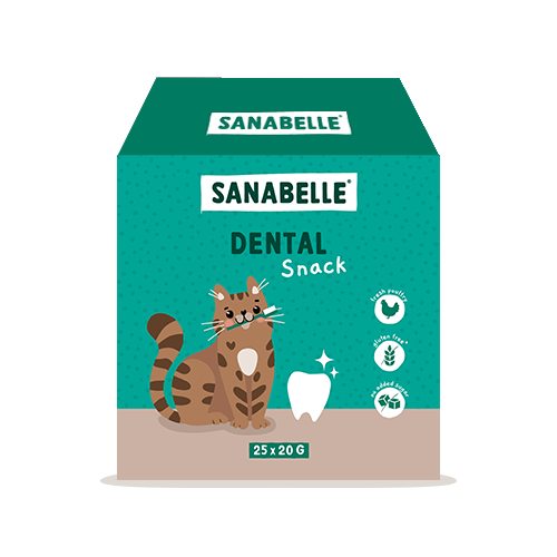 Sanabelle Snack-Box Dental 