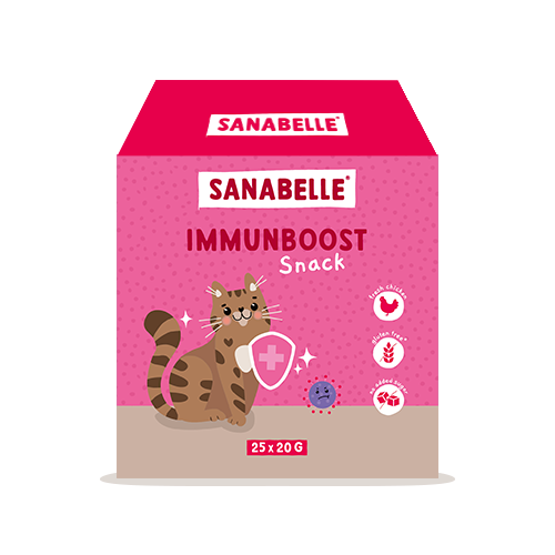 Sanabelle Snack-Box Immunboost