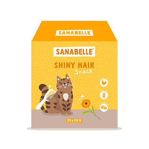 Sanabelle Snack-Box Shiny Hair