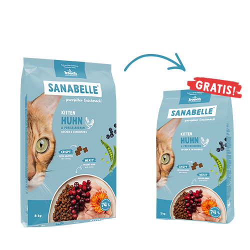 Kitten Huhn & Preiselbeeren 