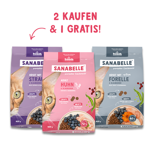 Sanabelle Life Probierpaket - 2 kaufen + 1 gratis!