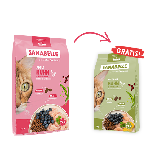 Adult Huhn & Blaubeeren 