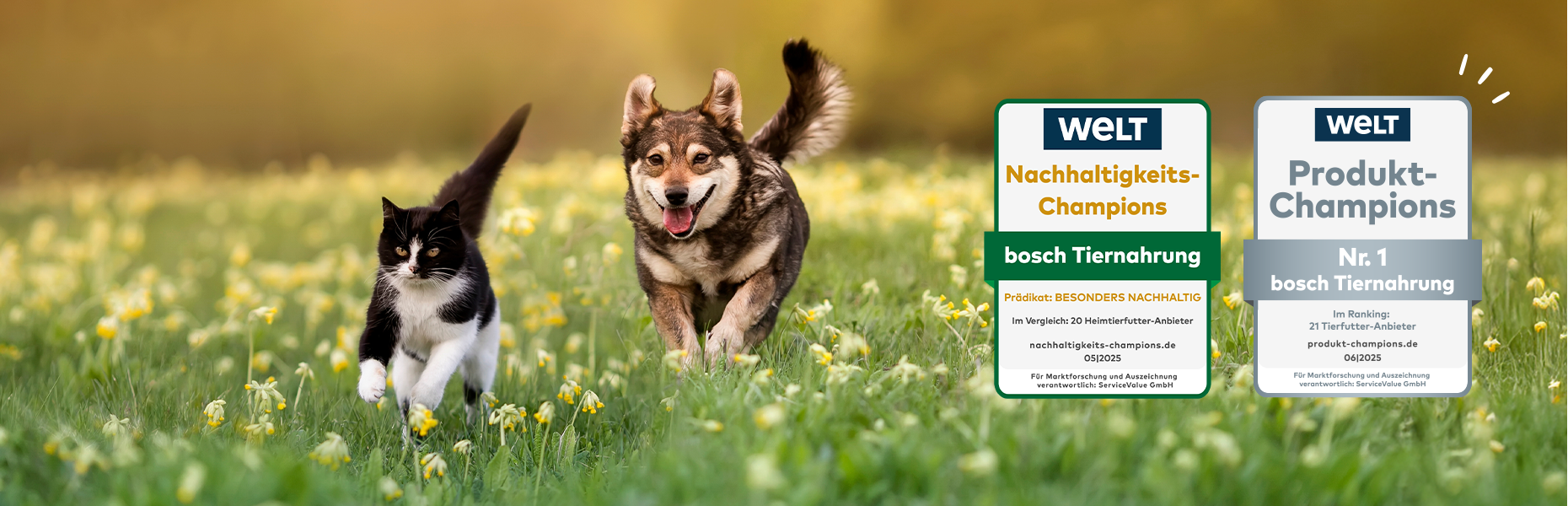 Awards for Bosch pet food: Sustainability Champion 2024 and Product Champions for dog food – awarded by the Süddeutsche Zeitung and WELT newspapers.