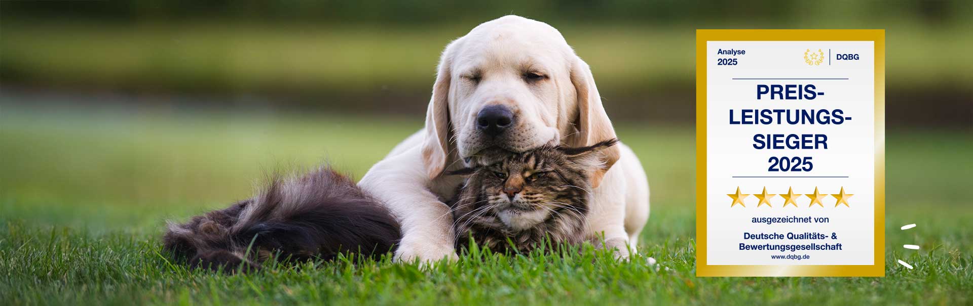 Top-Qualität zu fairen Preisen: Darum sind wir Dein Preis-Leistungs-Sieger 2025!