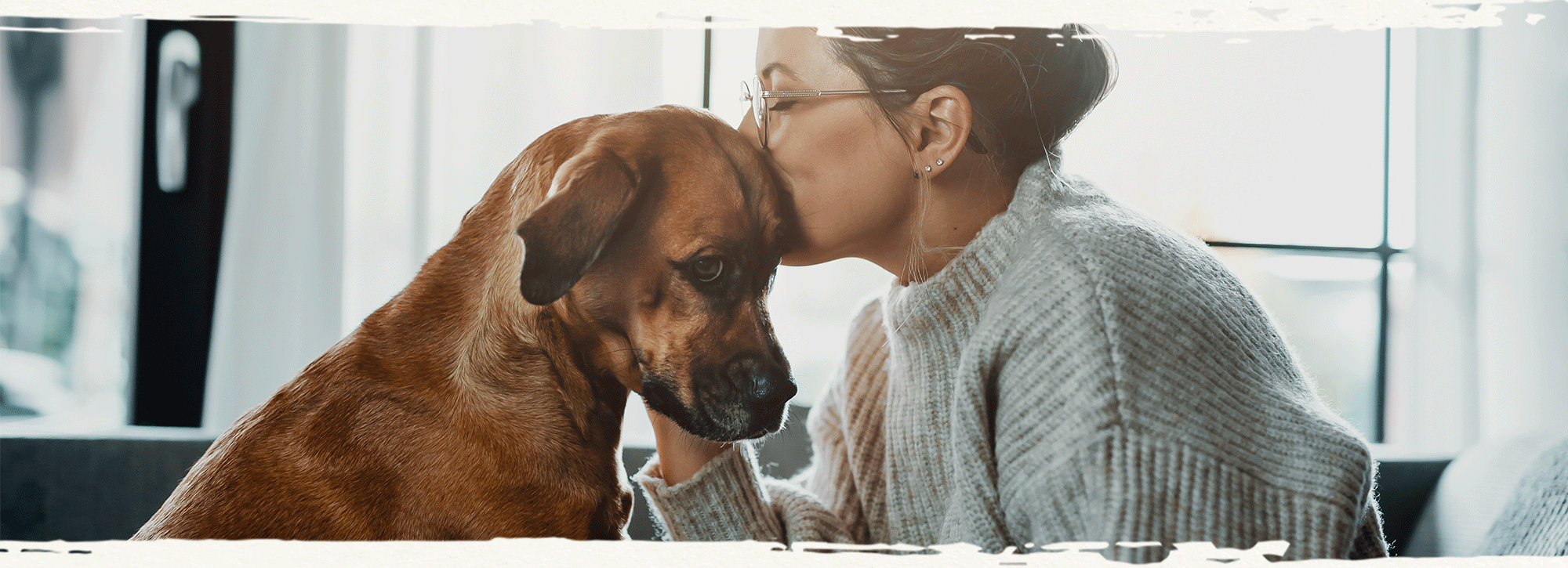 Futtermittelunverträglichkeiten & Allergien beim Hund