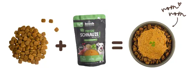 Our serving suggestion for your dog