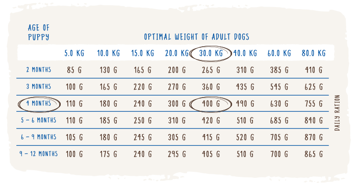 Feeding recommendation according to the age of the puppy and ideal weight / target weight of adult dogs