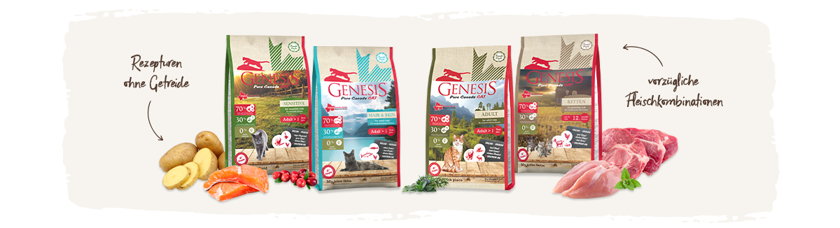 genesis-pure-canada-katze