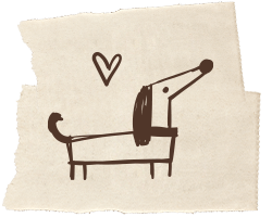 Hundefutter ohne Weizen